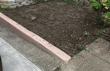 Empty garden bed with scattered small plants and stone border in residential area.