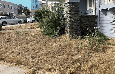 Dry, overgrown yard with untrimmed bushes and a stone pillar in a residential area.