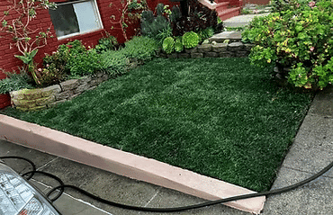 Lush green artificial grass lawn bordered by stone and colorful plants in a landscaped yard.